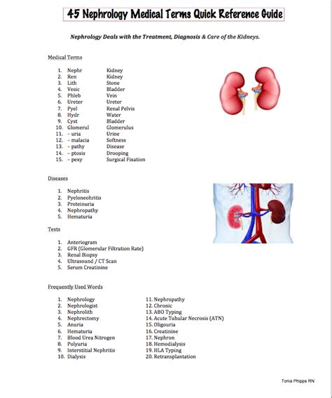 nephrologist medical term.